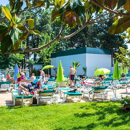 Grand Sunny Отель 4*
